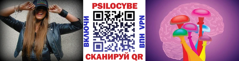 Псилоцибиновые грибы Cubensis где продают Касимов